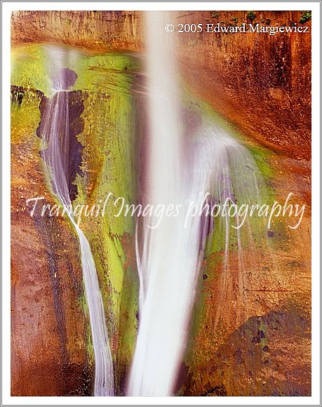 450324   Lower Calf Creek Falls, Utah 